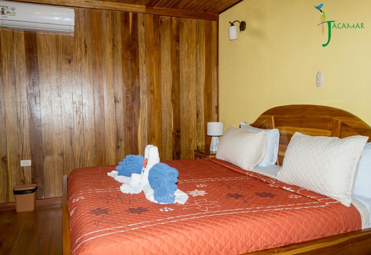 Jacamar Corcovado 2*